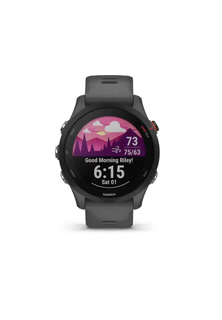 Forerunner 255 Slate Grey
