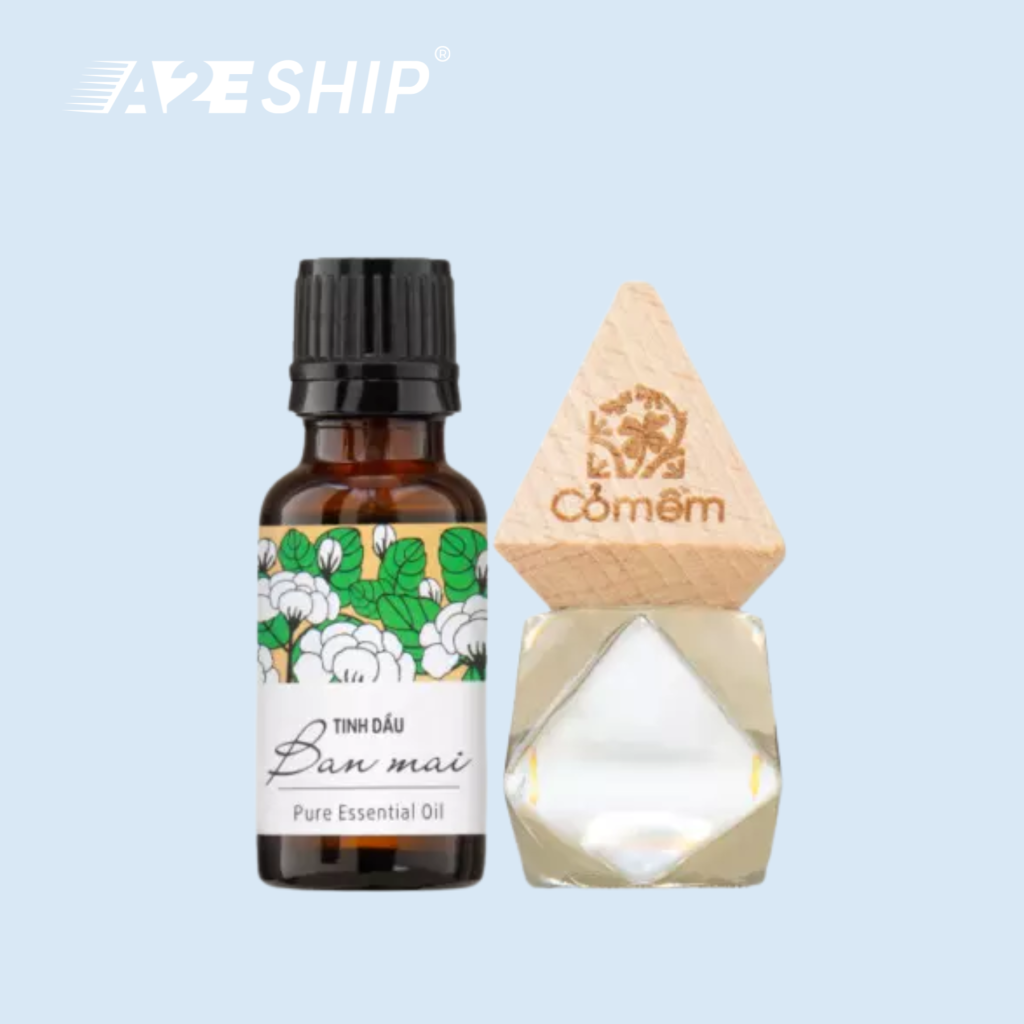 Co Mem Women’s Day Gift Set: The Perfect Scented Surprise for International Women’s Day