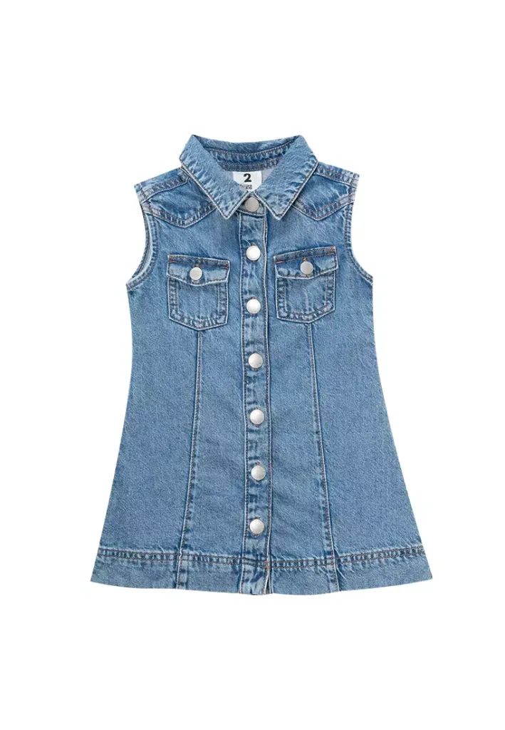 Ellen Denim Dress