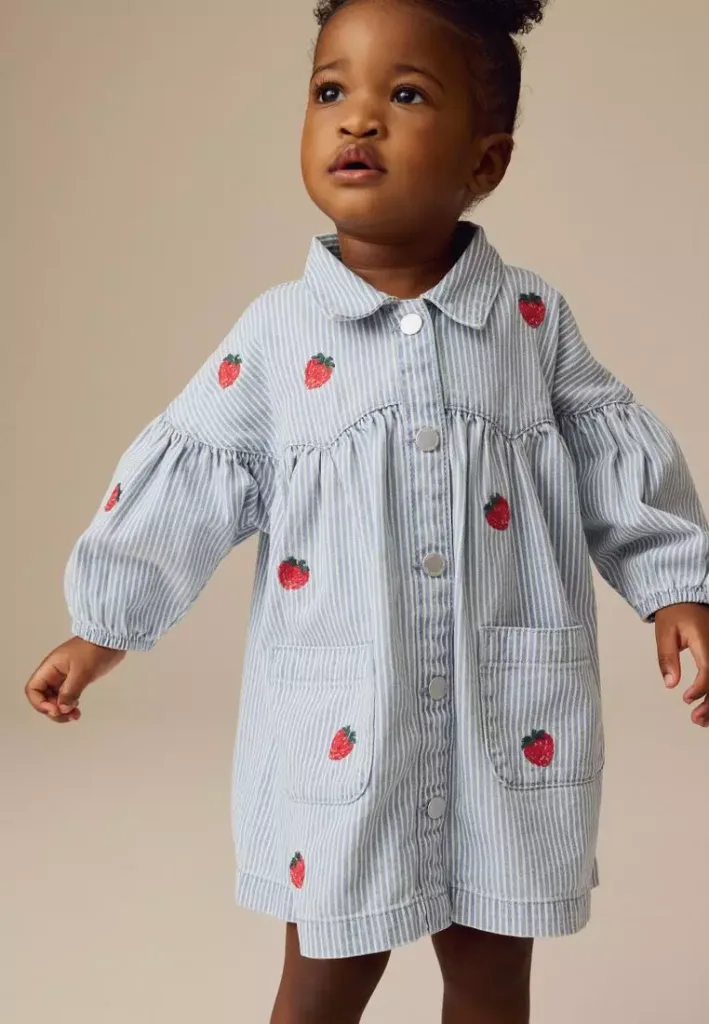 Embroidered 100% Cotton Denim Shirt Dress