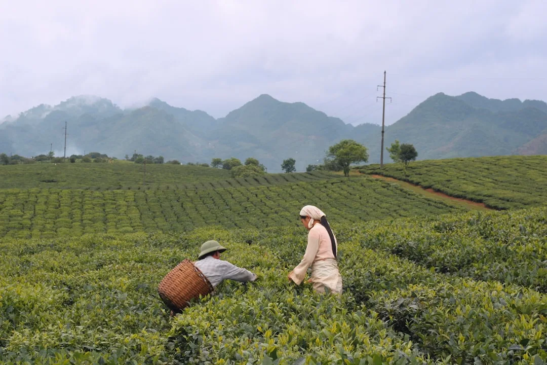 Nguyễn Minh Tuấn